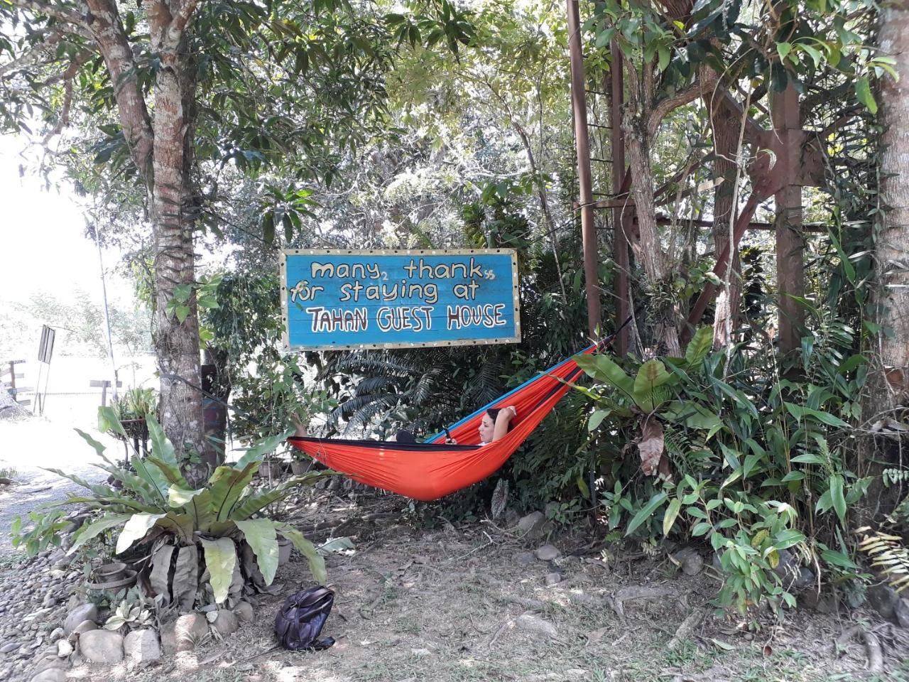 Tahan Guest House Kuala Tahan Exteriér fotografie
